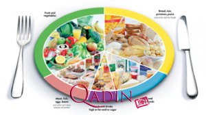 Fərdi qidalanma tarixi nədir?