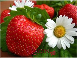 İnternetin ağırlığı bir çiyələk qədər