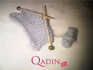 Kiçik toxuma modeli