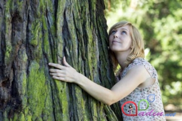 Ağacların enerjisi - dendroterapiya