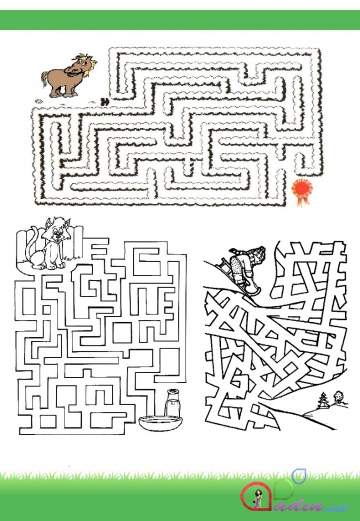 Labirint-8