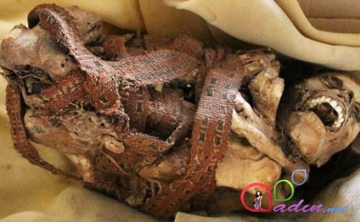 Zibilyığanın marağı 900 illik mumiyanı üzə çıxardı