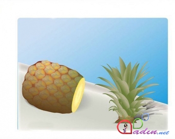Ev şəraitində ananasın yetişdirilməsi