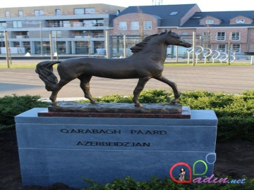 "Qarabağ Atı" Belçikada