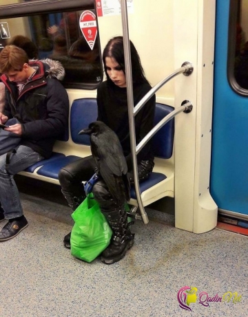 Metronun qeyri-adi sərnişinləri