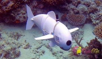 Robot balıq ixtira edildi-VİDEO