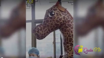 Çinli koronavirusdan qorunmaq üçün zürafə kostyumu geyinmək qərarına gəldi - VİDEO