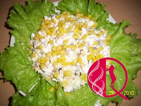 Yuqoslav salat&#305;(foto resept)