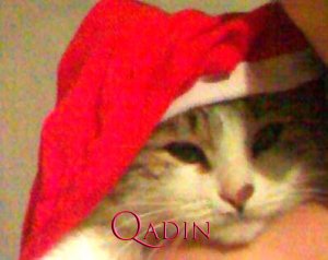 Onlar məni sakitləşdirirlər