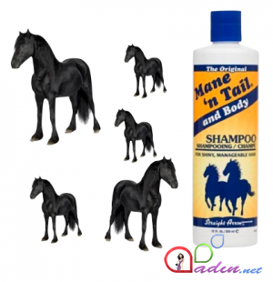 At şampununun saçlarımıza təsiri