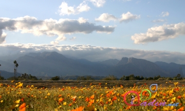 Hava haqqında - 04.09.2013