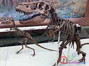 İngiltərədə 17 metrlik dinozavrın skeleti 650 min dollara satıldı