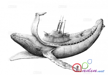 Kompozit illüstrasiyalar