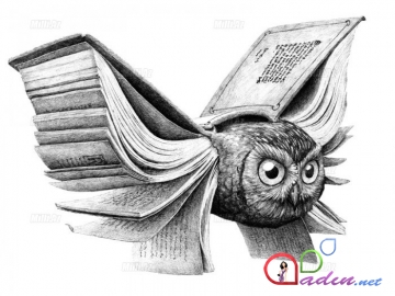 Kompozit illüstrasiyalar