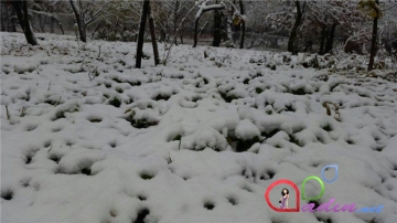 Azərbaycana qar yağdı