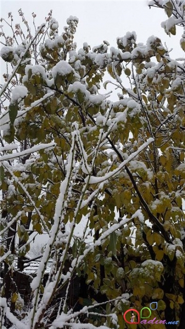 Azərbaycana qar yağdı