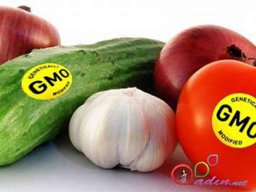 Əhali GMO məhsullar barədə məlumatlandırılacaq