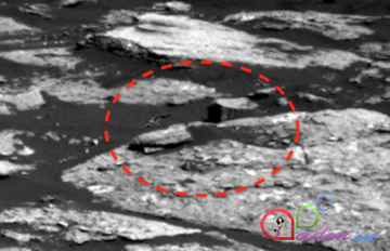 NASA yadplanetlilərin özlərinin, evlərinin və gəmilərinin şəkillərini çəkib