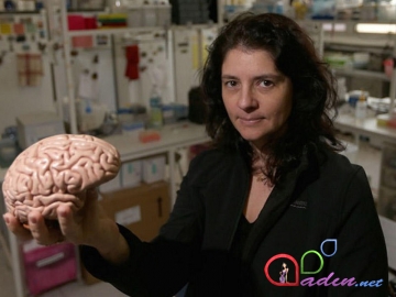 Beynin daha bir sirri açıldı: Niyə bizdə inkişaf edib, meymunlarda yox?
