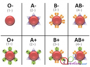 Bu qan qrupu olan insanlarda MƏDƏ-BAĞIRSAQ xəstəlikləri tez-tez olur