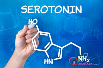 Serotonin nədir və təbii yollarla necə artırılır