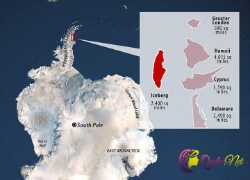 Dünyanı yeni təhlükə gözləyir: Antarktida parçalanır