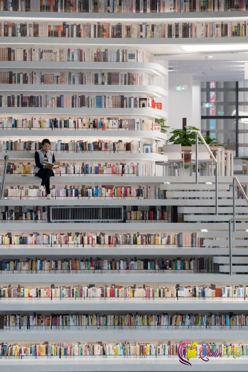 Çində fantastik kitabxana açıldı: BUNA İNANMAQ OLMUR - FOTOLAR