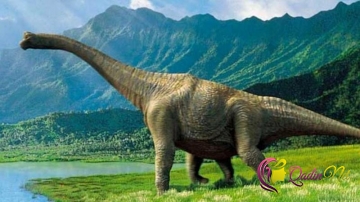 Dünyada ən böyük dinozavr izi tapıldı
