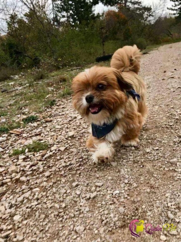 Ən eybəcər idi, tam dəyişdi -FOTO