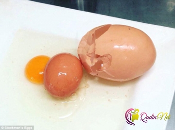 Yumurtanın içindən çıxan hamını heyrətləndirdi - FOTO