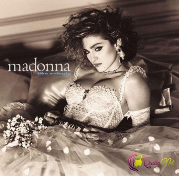 Madonnanı yamsılayan it internet fenomeninə çevrildi - FOTO