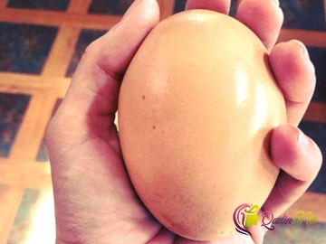Bir yumurtadan iki leylək balası çıxdı-FOTO