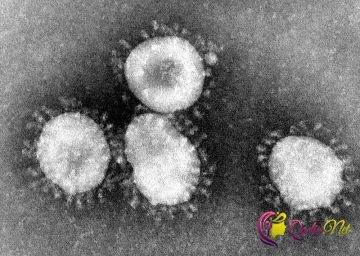 Saç telindən 400 dəfə incə olan koronavirus - FOTO