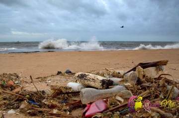 Okeana atılan plastik qablar hara yox olur? - ARAŞDIRMA