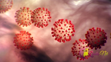 Ramin Bayramlıdan koronavirusun mutasiyası ilə bağlı MÜHÜM AÇIQLAMA