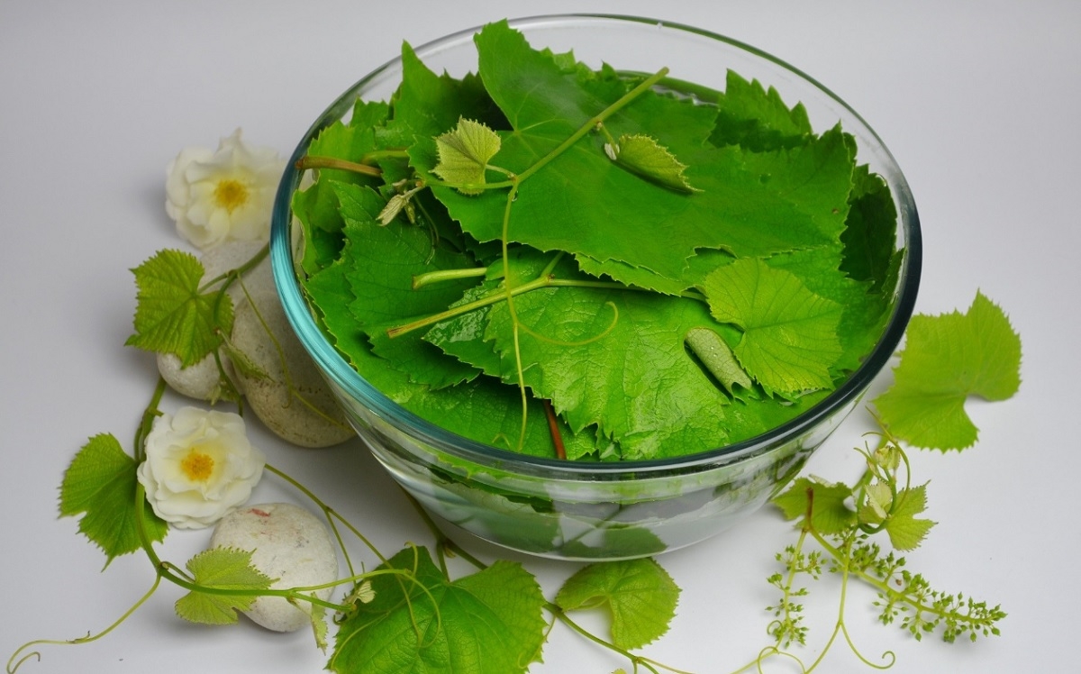 Grape leaf tea for weight loss