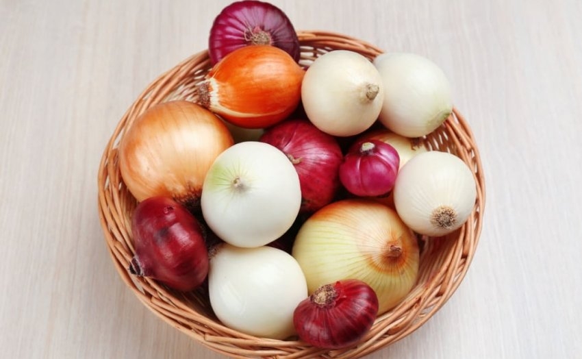 Hangi soğan daha yararlıdır: sarı, beyaz mı yoksa kırmızı mı?
